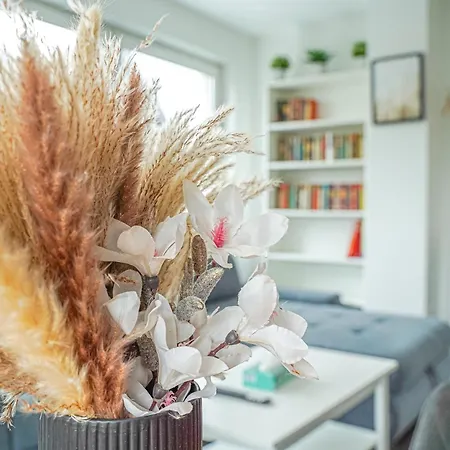 Apartment Koeln Apartment